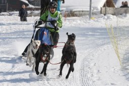 Lenk 2012 SM